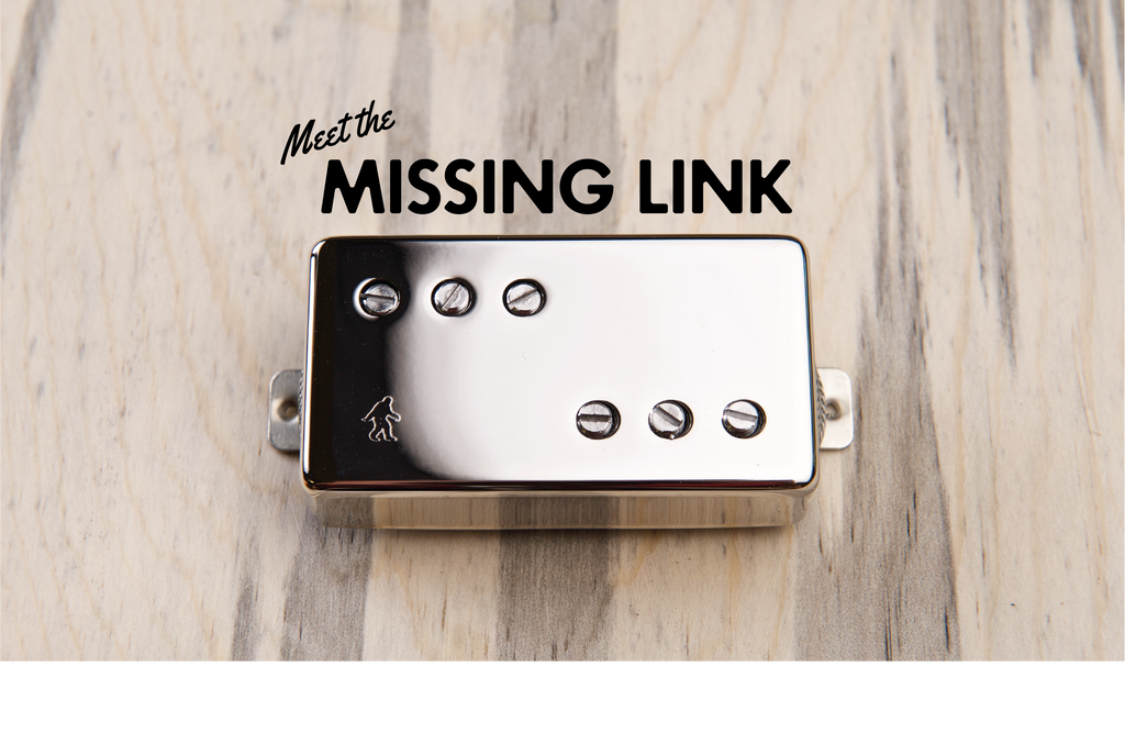 Meet the Missing Link